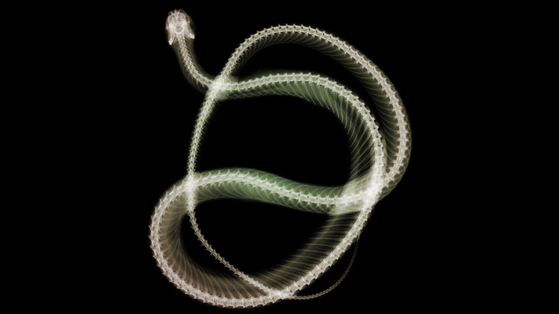 výhledu fluorescence širokoúhlý Tapeta #10 - 1920x1080