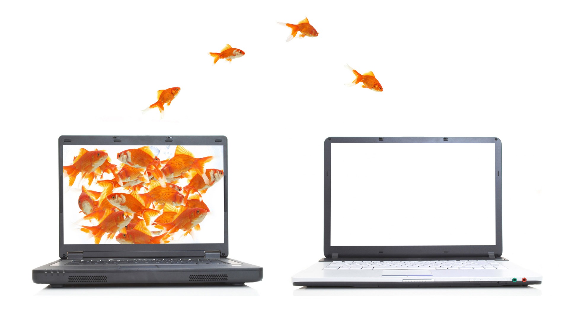 Jumping goldfish wallpaper #6 - 1920x1080