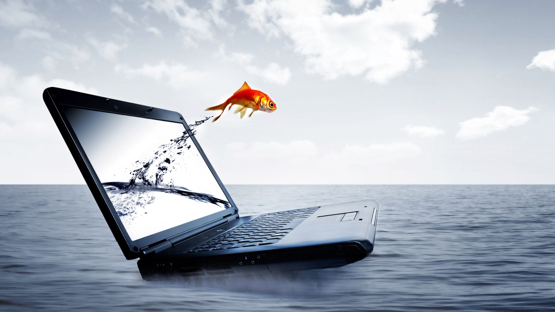 Jumping goldfish wallpaper #12 - 1920x1080