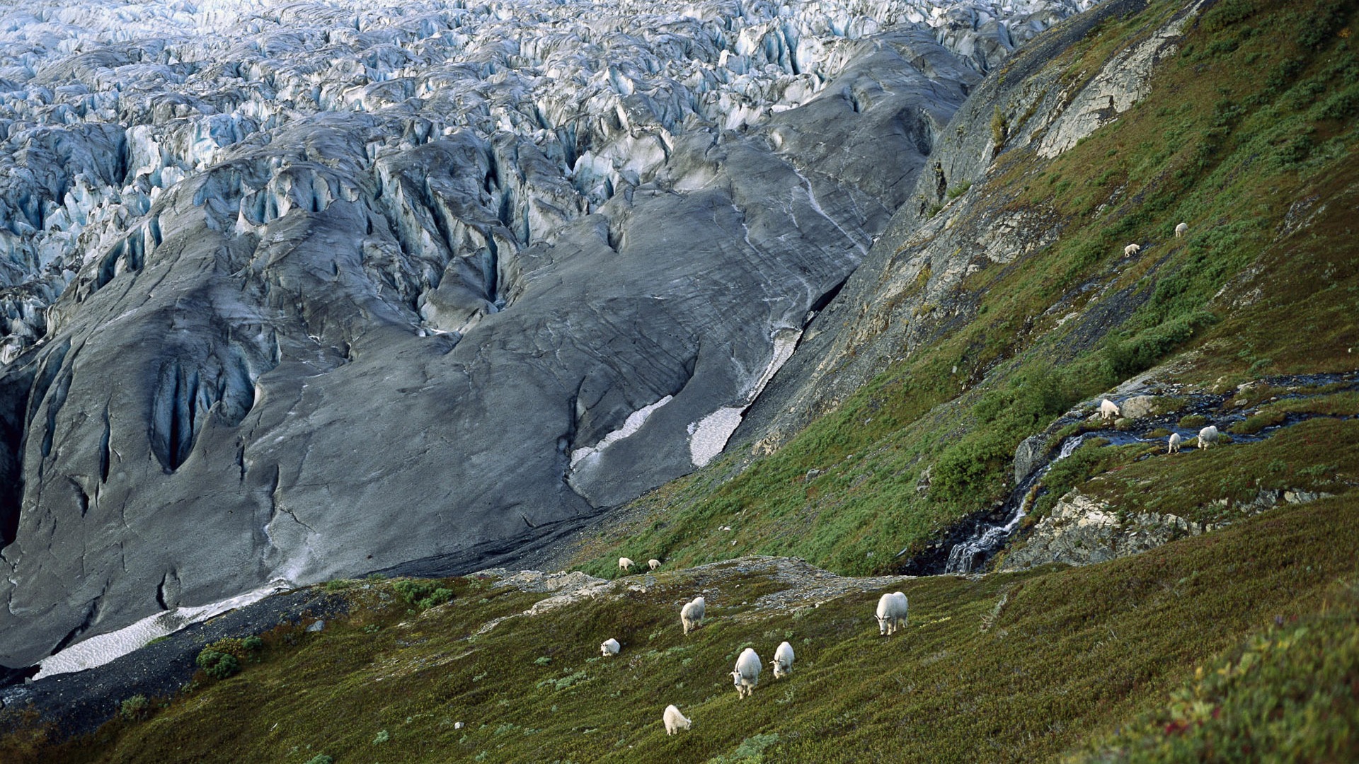 Fond d'écran paysage de l'Alaska (1) #8 - 1920x1080