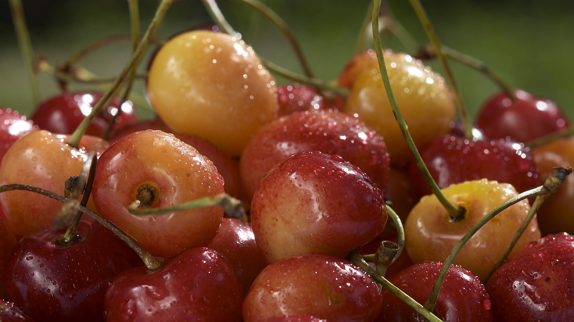 Fond d'écran Caractéristiques de gros fruits (1) #19 - 1920x1080