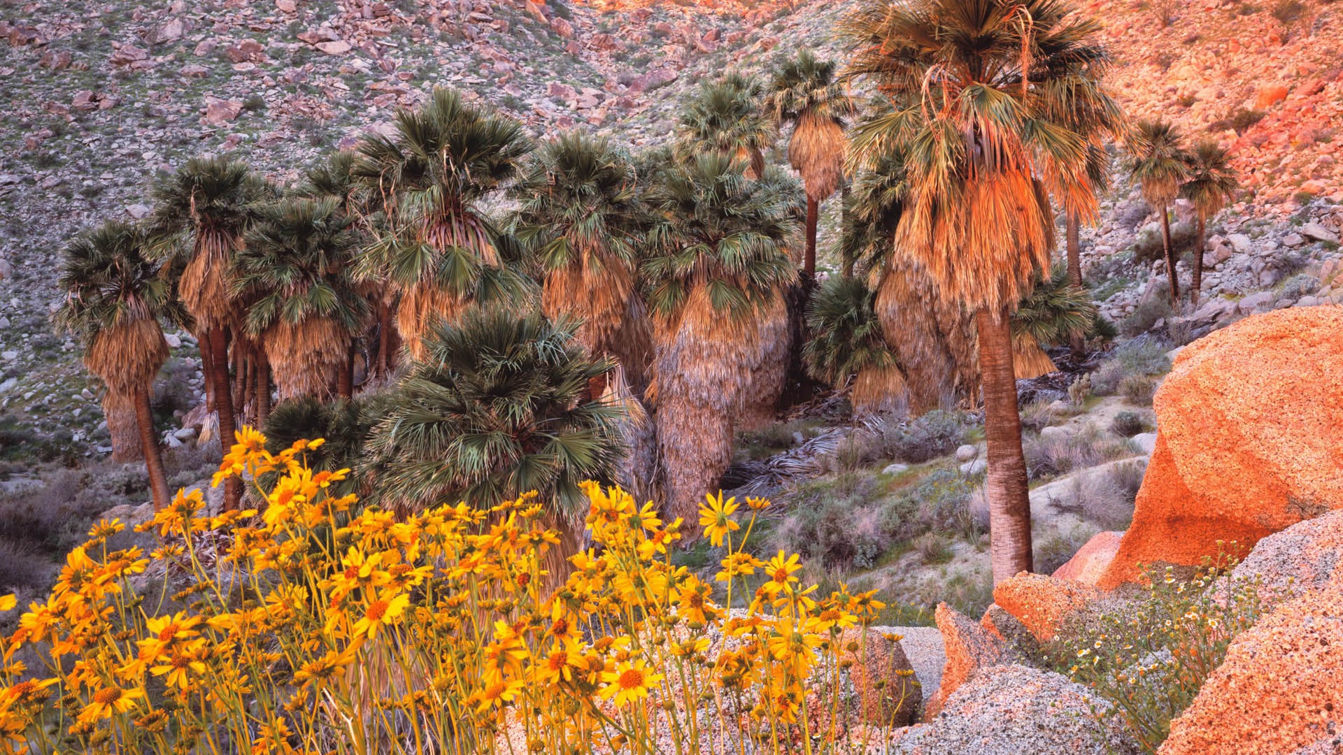 Fondos de Paisajes de California (1) #4 - 1920x1080