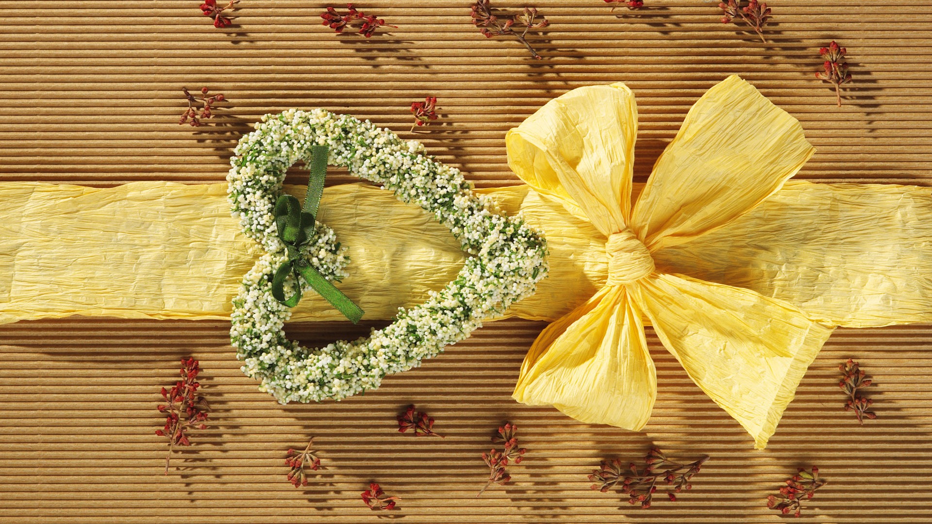 寬屏鮮花特寫 壁紙(五) #19 - 1920x1080