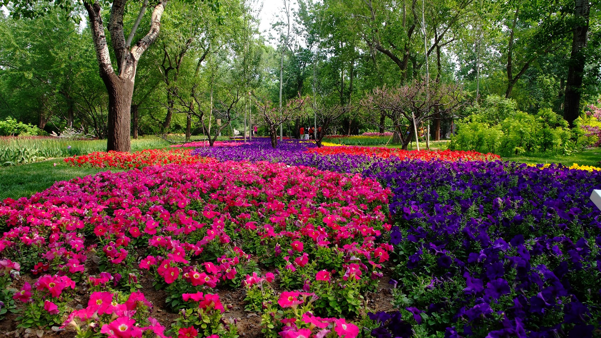 Xiangshan early summer garden (rebar works) #10 - 1920x1080