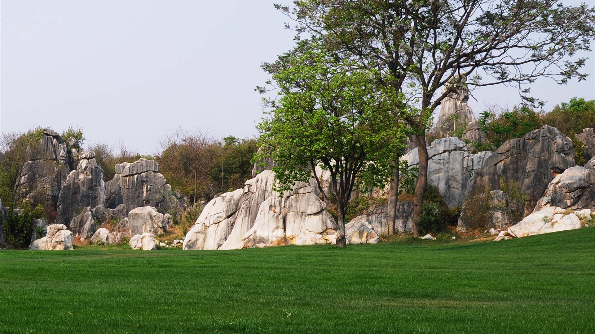 Stone Forest in Yunnan line (2) (Khitan wolf works) #27 - 1920x1080