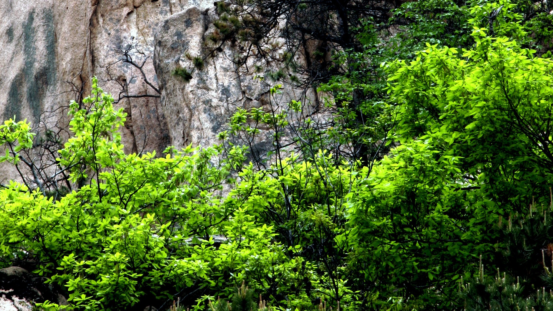 Landscape photography (2) (Li Shanquan works) #6 - 1920x1080