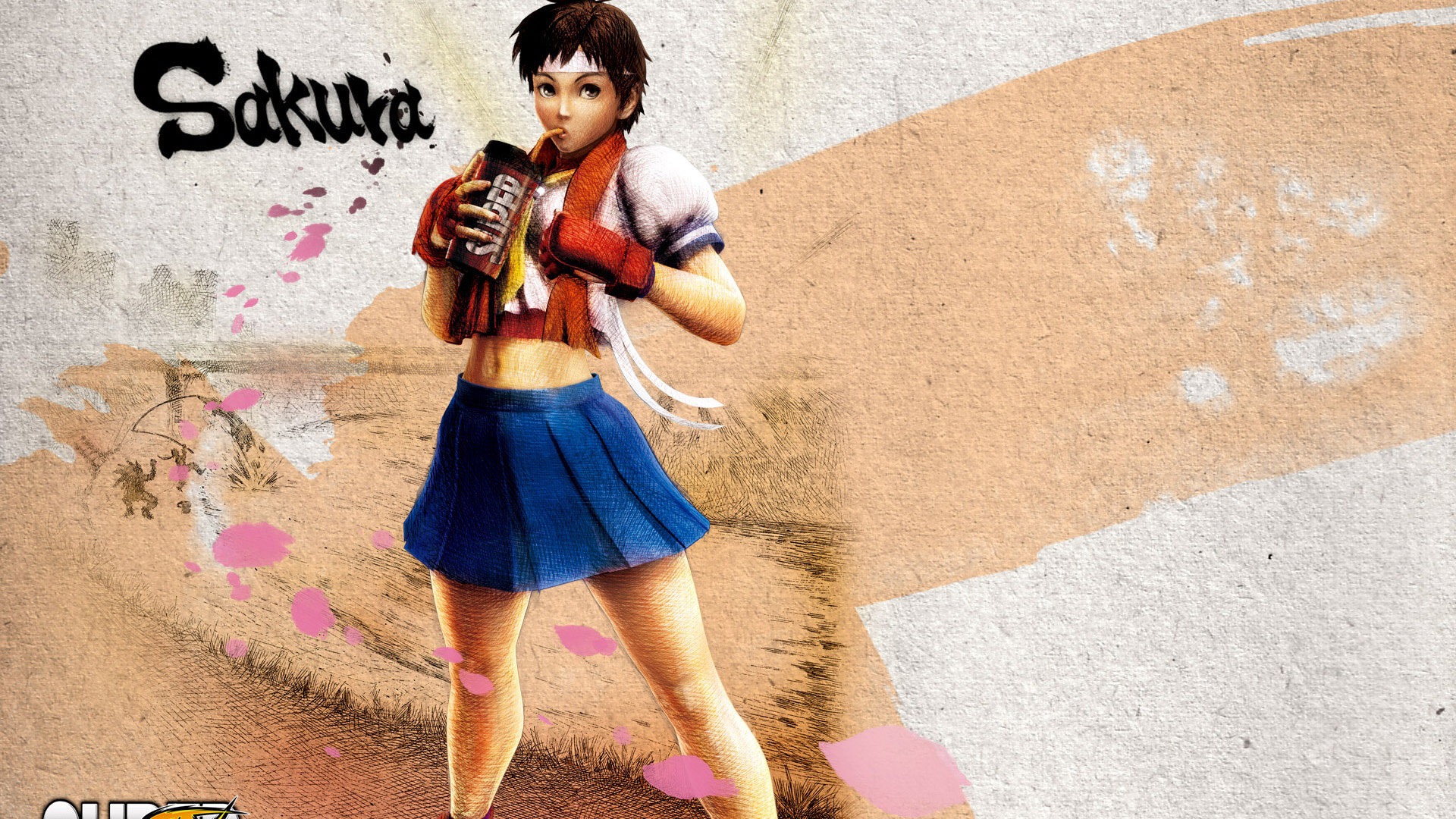 Super Street Fighter 4 HD Wallpapers #11 - 1920x1080