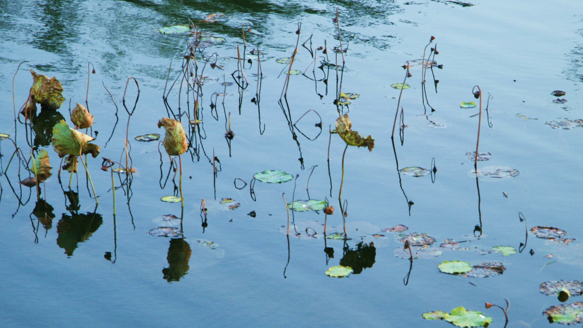 Landscape photography (4) (Li Shanquan works) #18 - 1920x1080