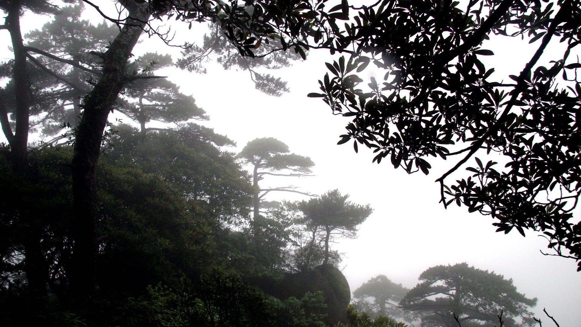 風景写真 (9) (李Shanquanの作品) #6 - 1920x1080