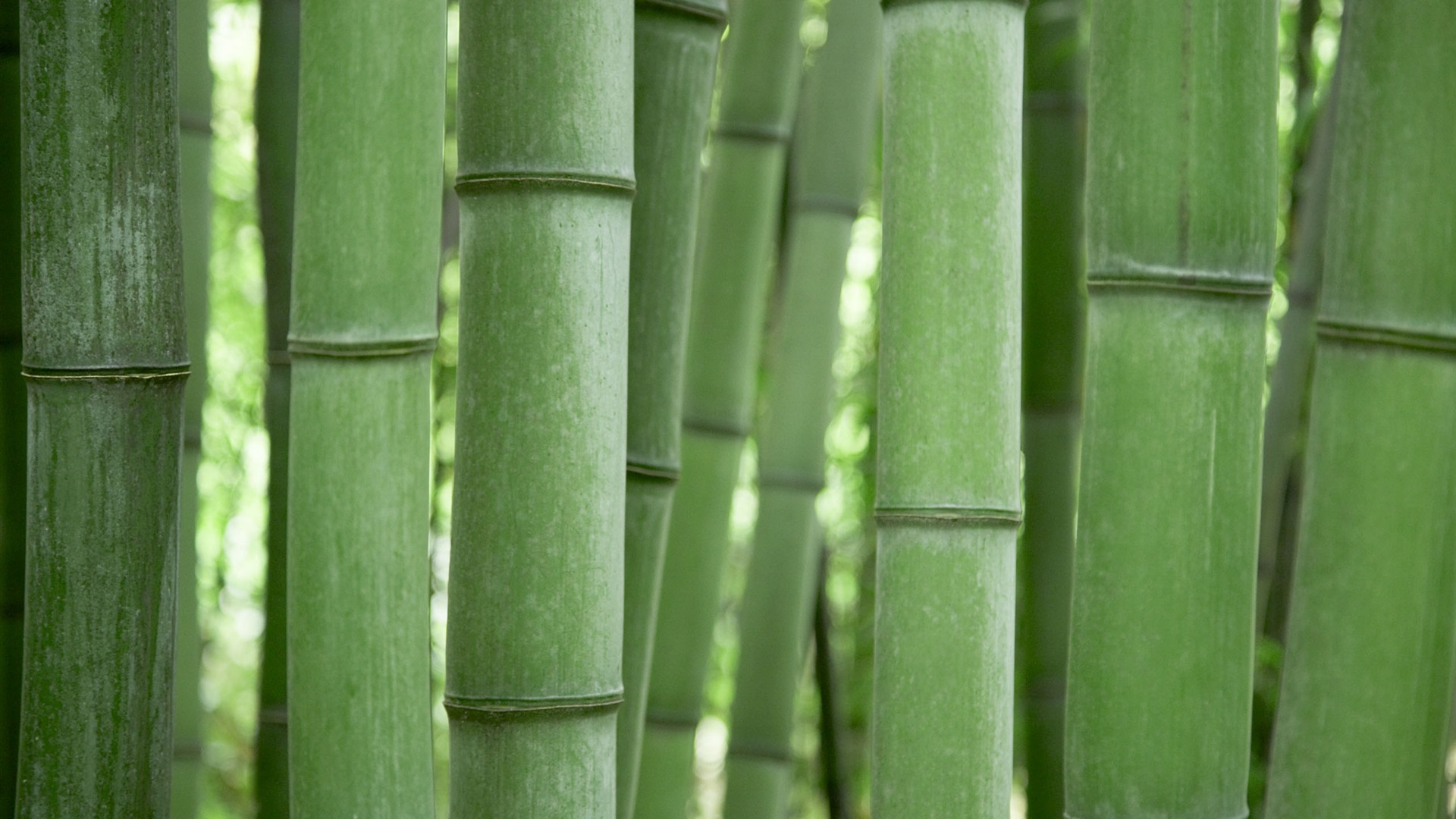 MAC OS X 系統 高清壁紙(一) #18 - 1920x1080