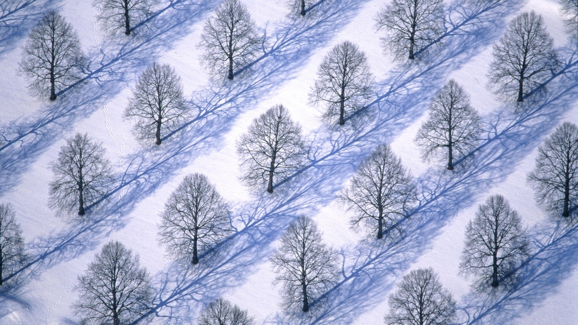 寬屏雪景 壁紙(二) #17 - 1920x1080