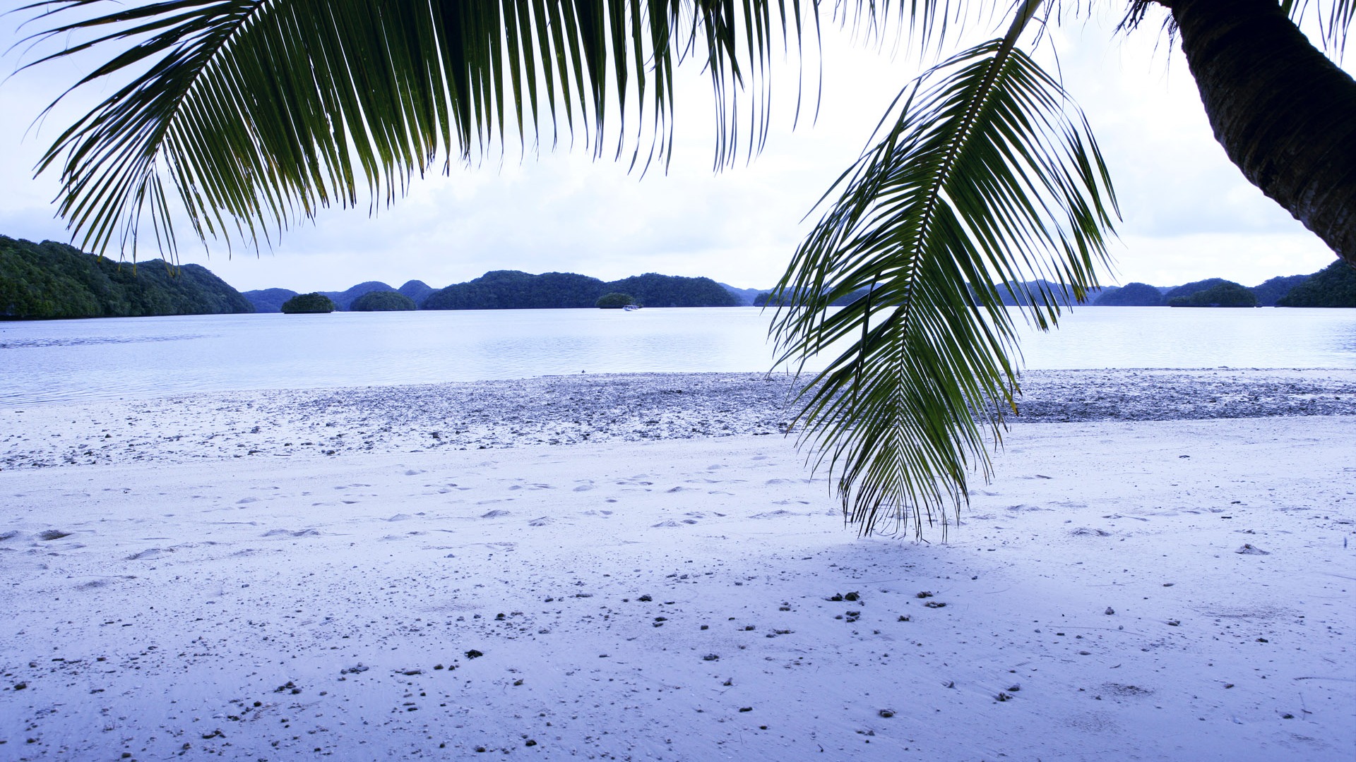 Beach foto tapety (1) #19 - 1920x1080