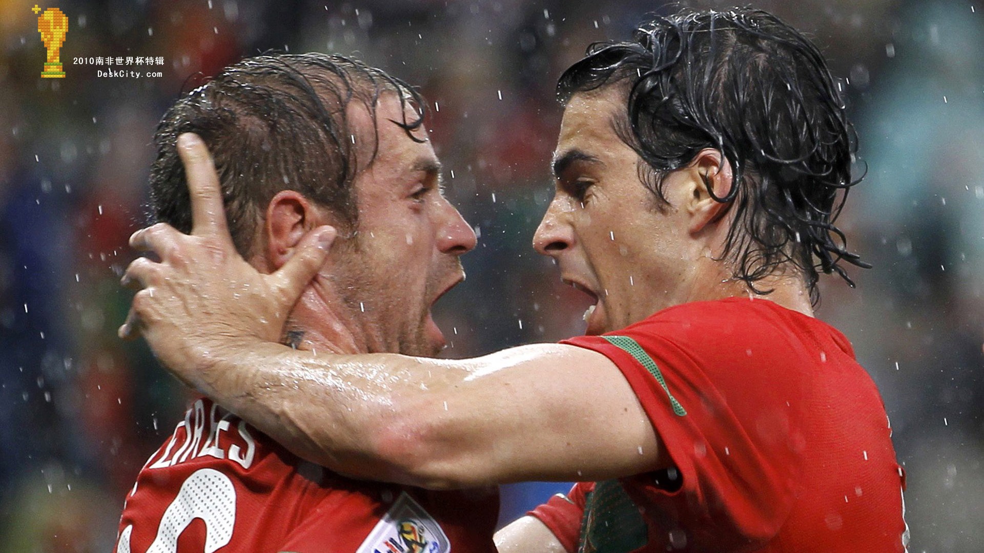 South Africa World Cup series wallpaper (4) #12 - 1920x1080