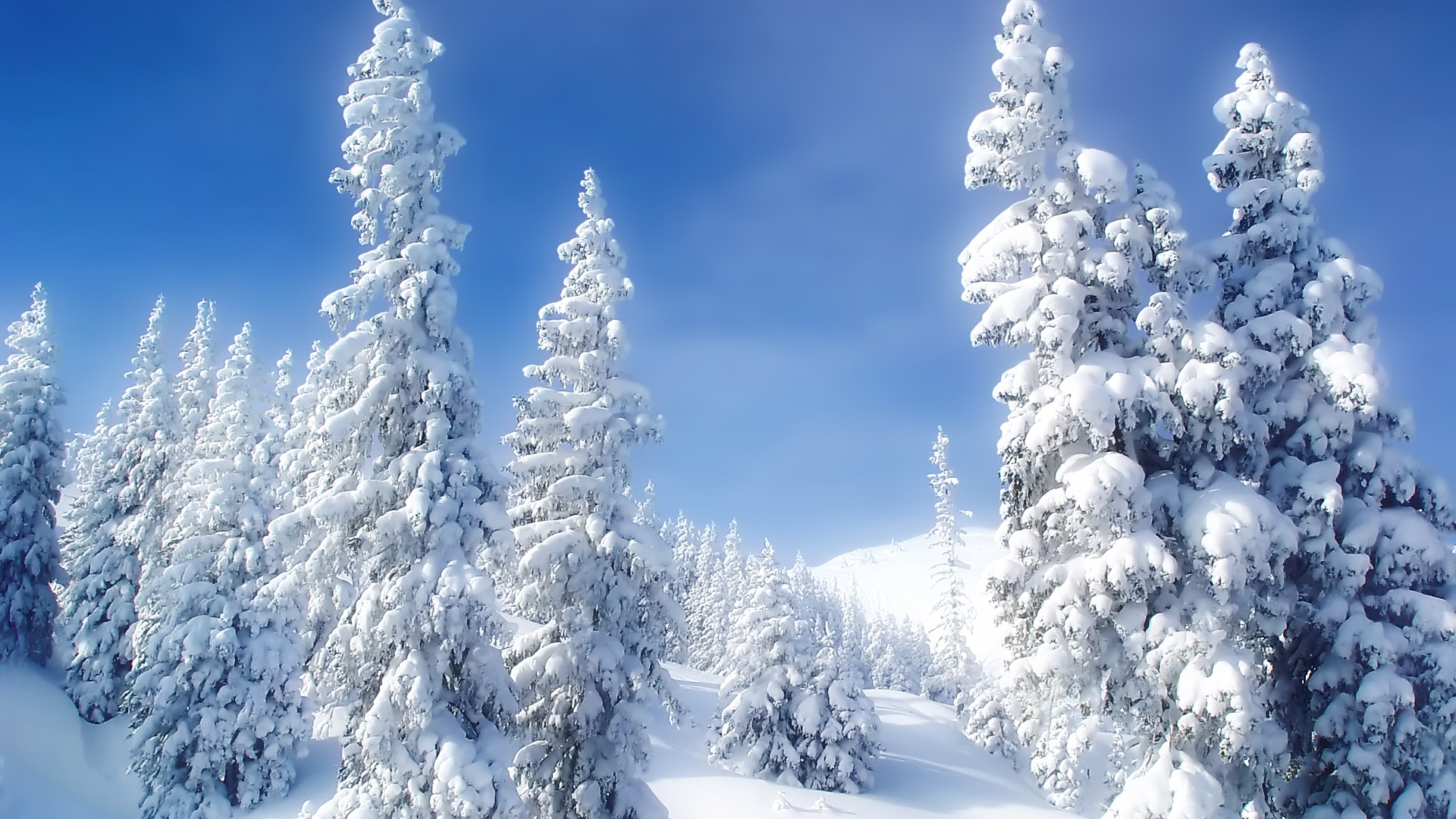 Scenery Collection Wallpapers (30) #19 - 1920x1080