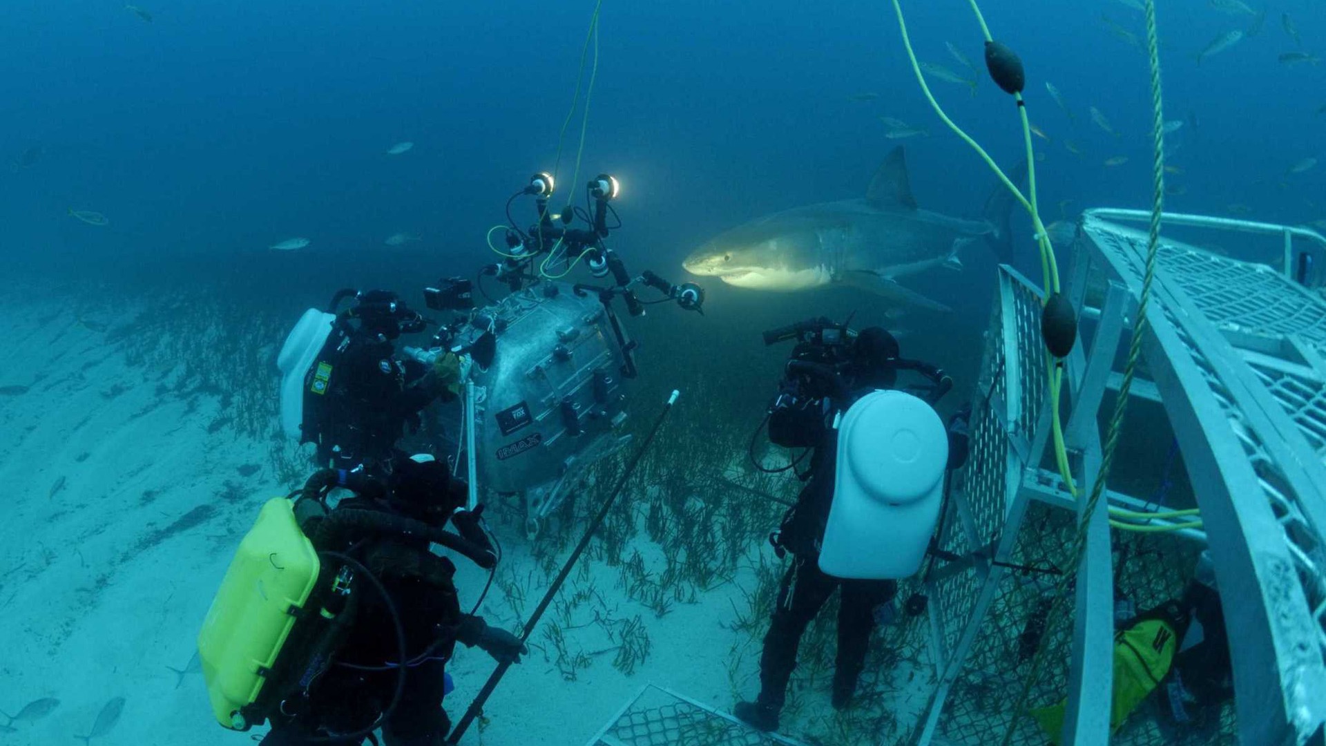 Under the Sea 3D 海底世界3D 高清壁紙 #37 - 1920x1080