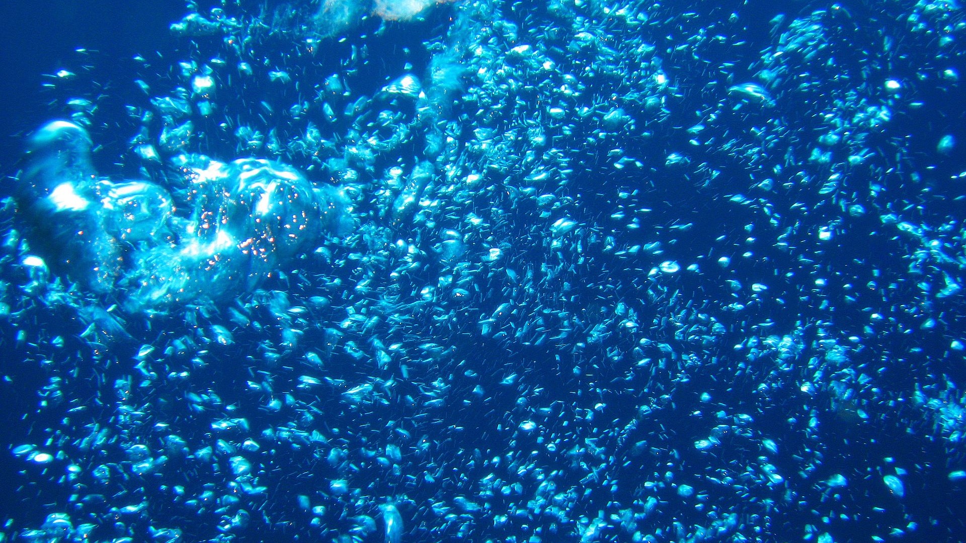 Zábava Underwater World (4) #23 - 1920x1080