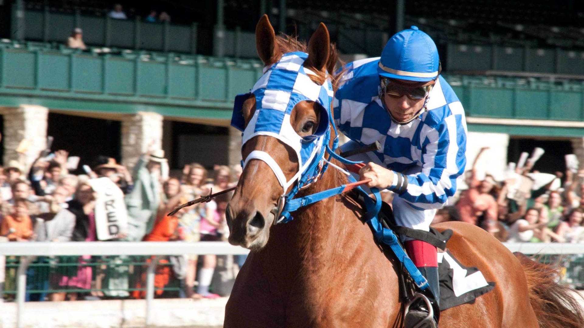 Secretariat 一代驕馬 高清壁紙(一) #25 - 1920x1080