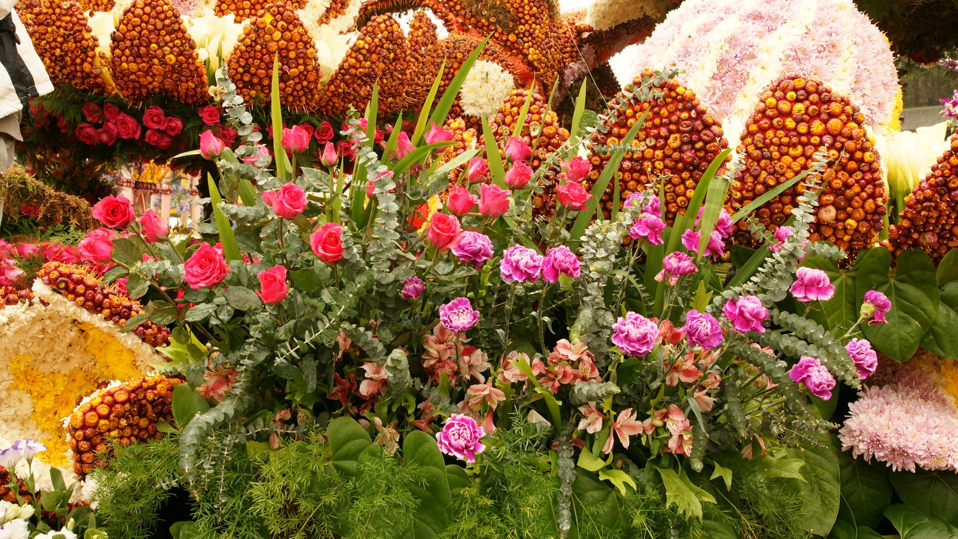 Barevné květy zdobí tapety (2) #7 - 1920x1080