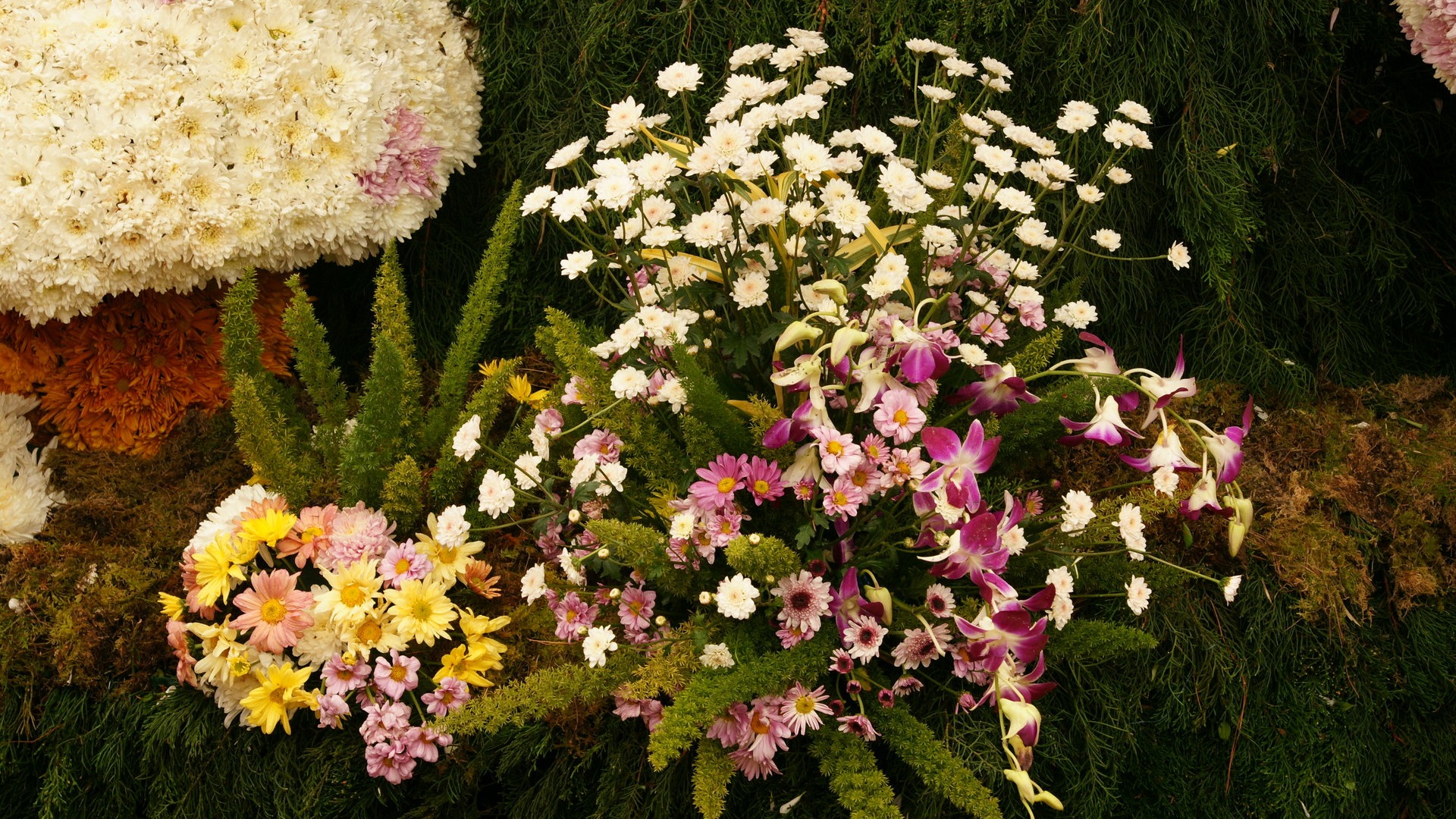 七彩花朵装饰 壁纸(三)4 - 1920x1080