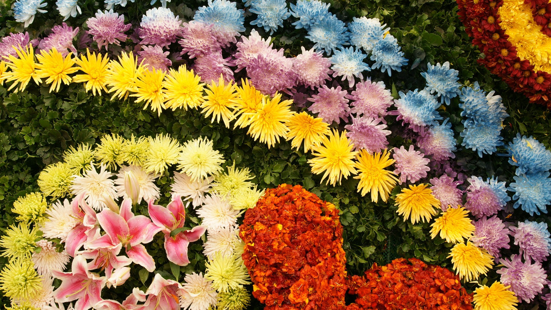 Colorful flowers decorate wallpaper (4) #1 - 1920x1080
