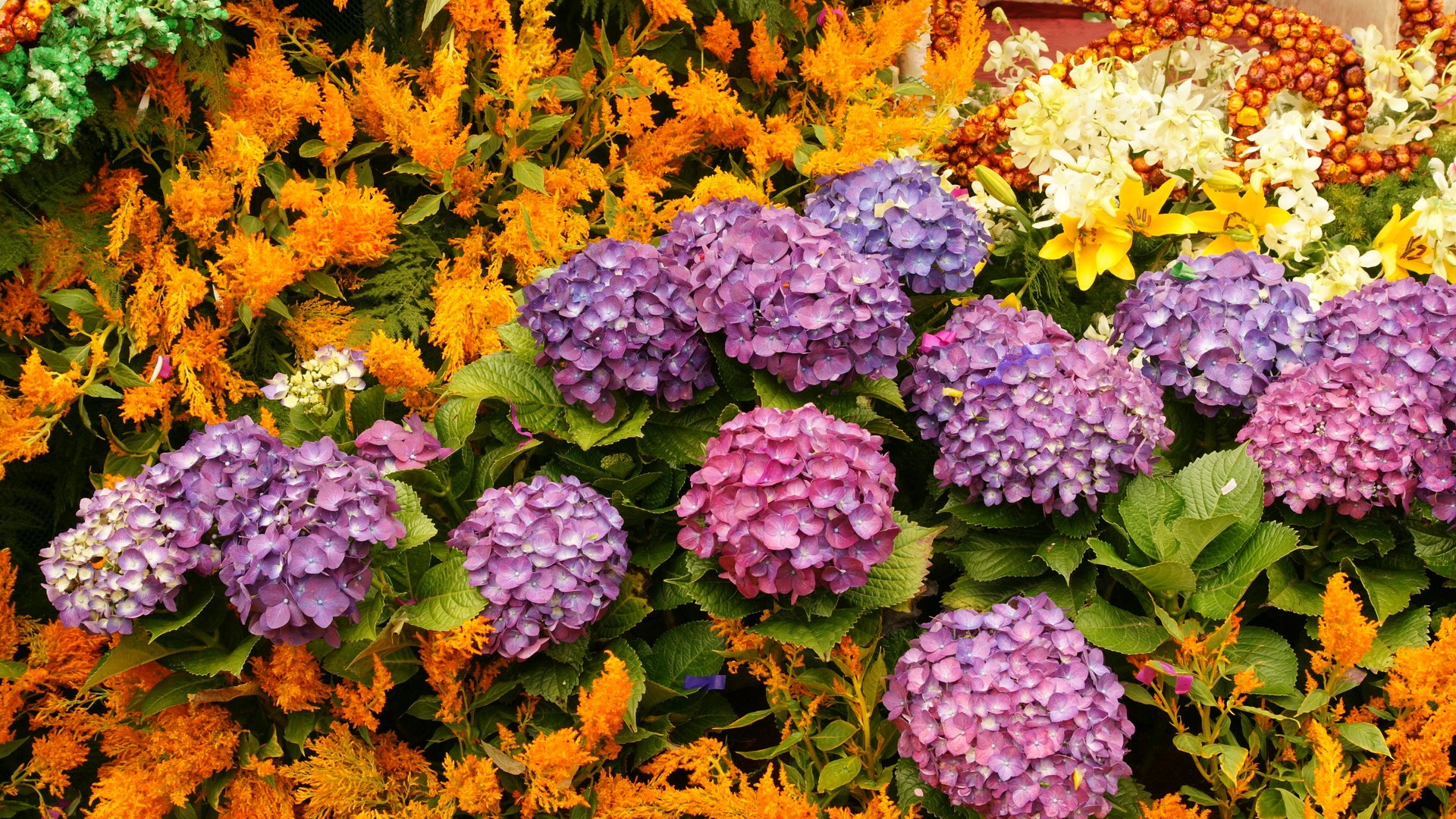 Colorful flowers decorate wallpaper (4) #13 - 1920x1080