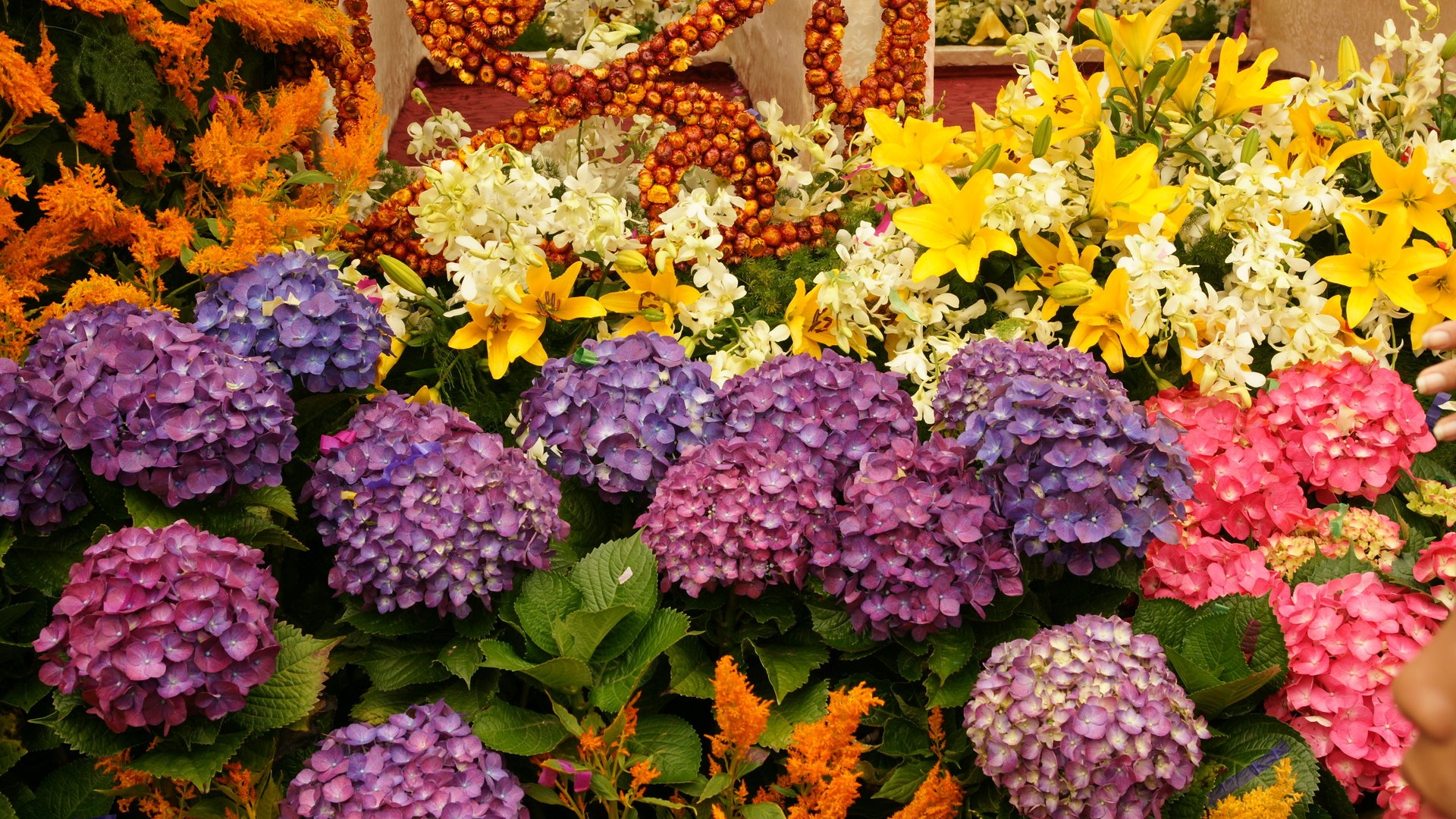 fleurs colorées décorent fond d'écran (4) #14 - 1920x1080