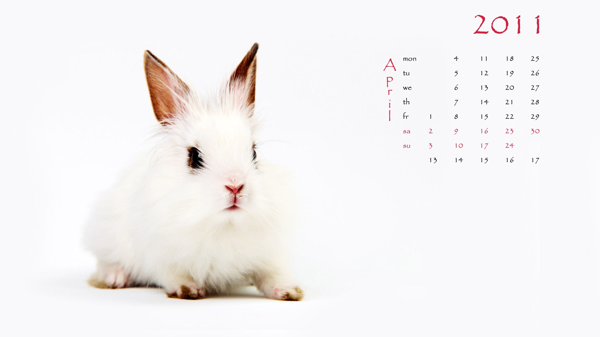 Jahr des Hasen Kalender 2011 Wallpaper (1) #4 - 1920x1080