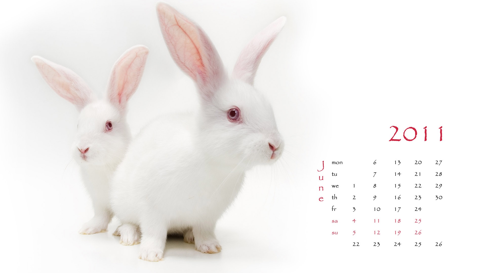 Year of the Rabbit 2011 calendar wallpaper (1) #6 - 1920x1080