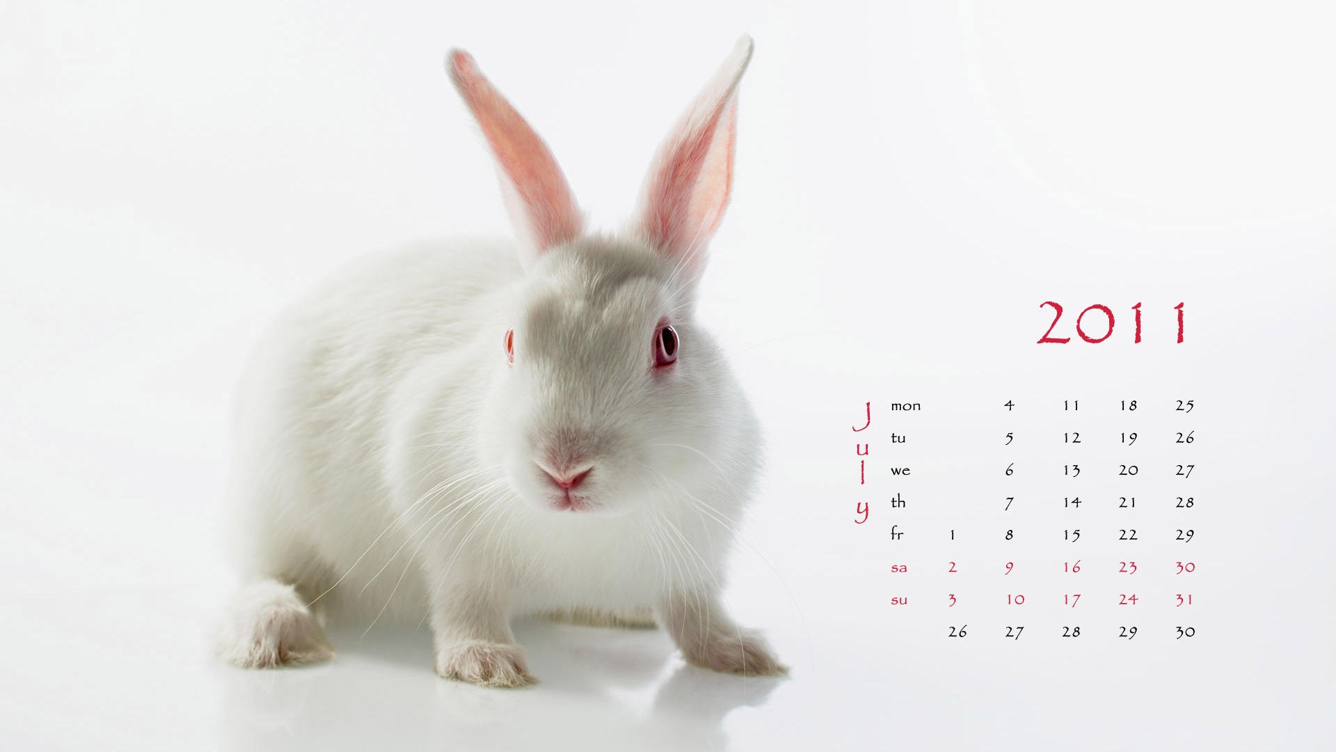 Jahr des Hasen Kalender 2011 Wallpaper (1) #7 - 1920x1080