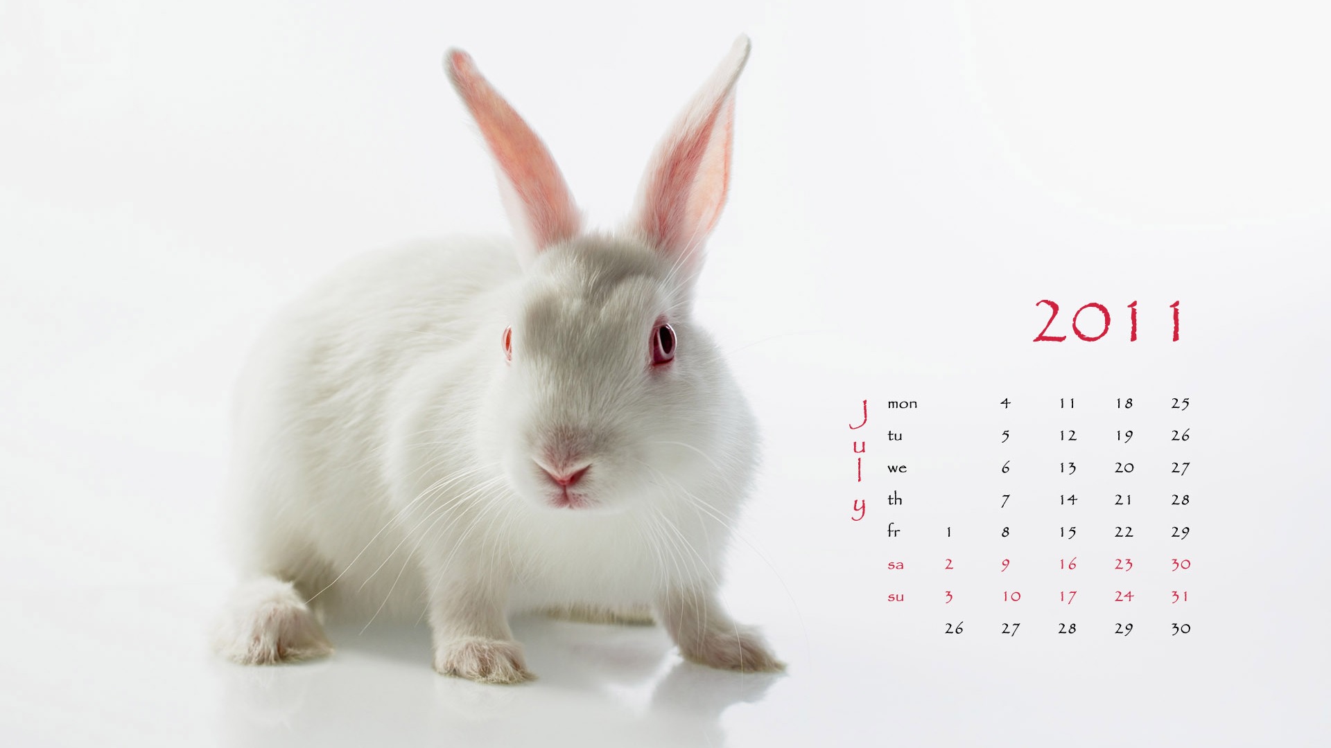 Year of the Rabbit 2011 calendar wallpaper (1) #7 - 1920x1080