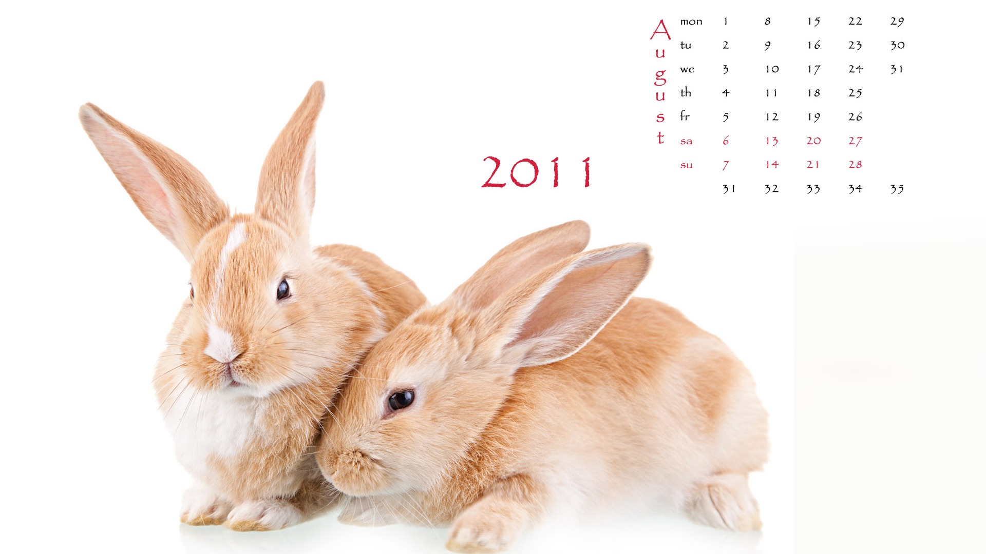 Year of the Rabbit 2011 calendar wallpaper (1) #8 - 1920x1080
