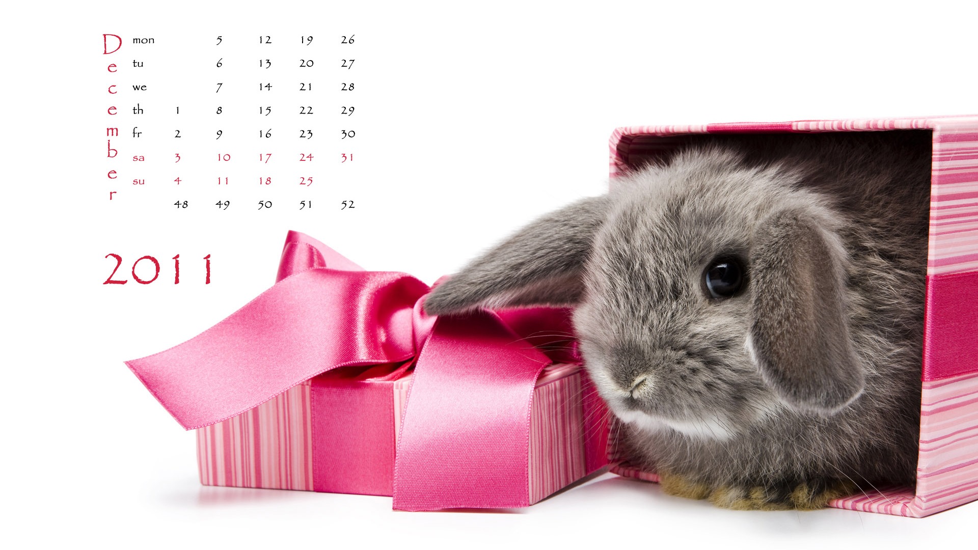 Year of the Rabbit 2011 calendar wallpaper (1) #12 - 1920x1080