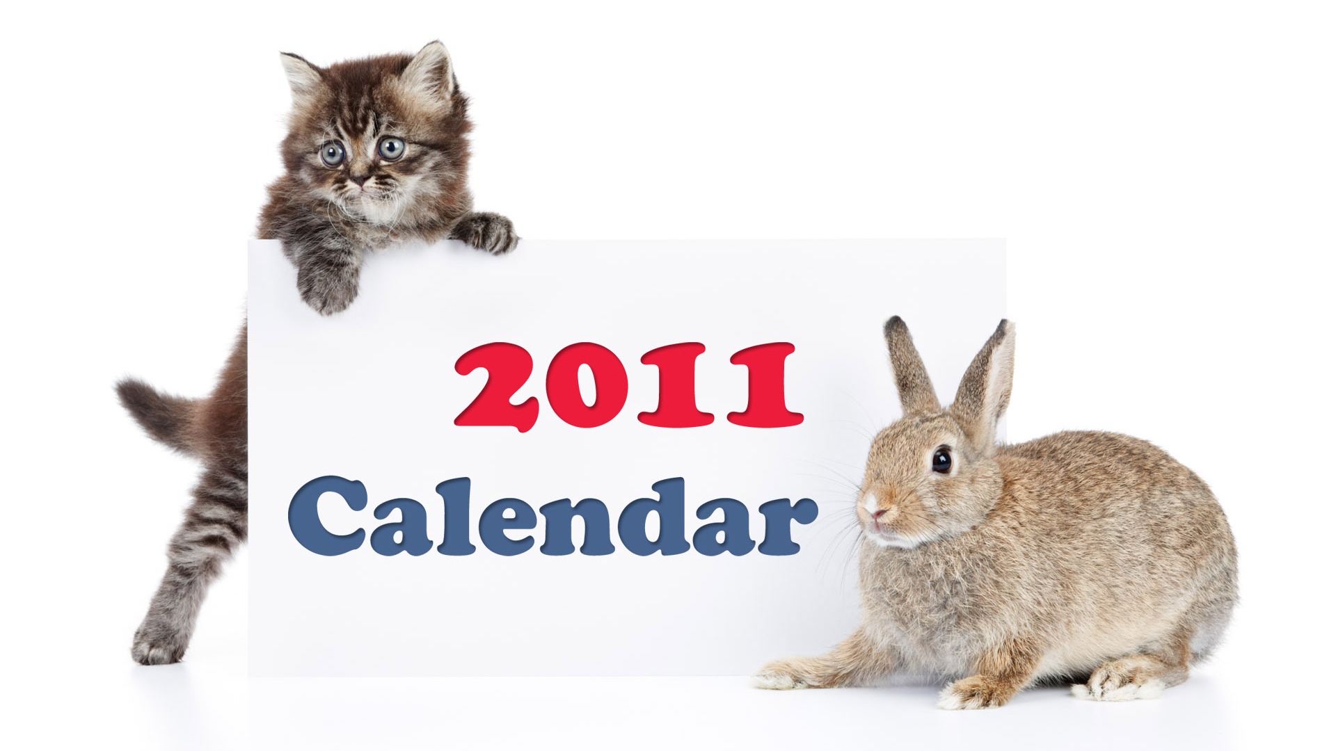 Year of the Rabbit 2011 calendar wallpaper (1) #13 - 1920x1080