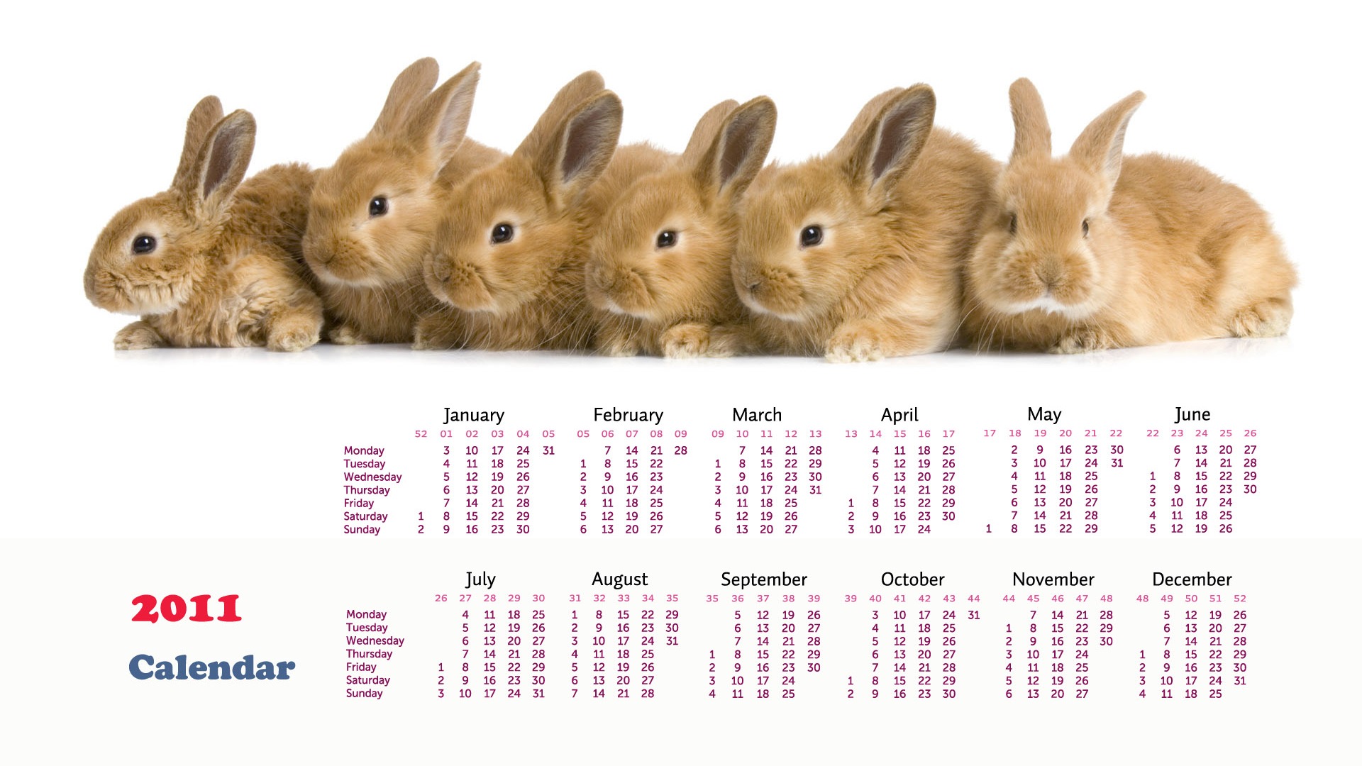 Year of the Rabbit 2011 calendar wallpaper (1) #14 - 1920x1080