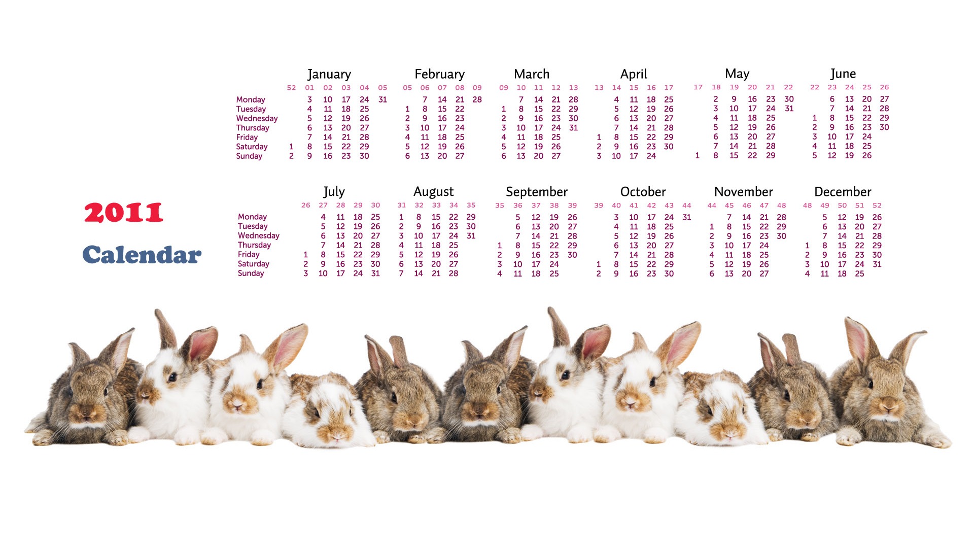 Year of the Rabbit 2011 calendar wallpaper (1) #15 - 1920x1080