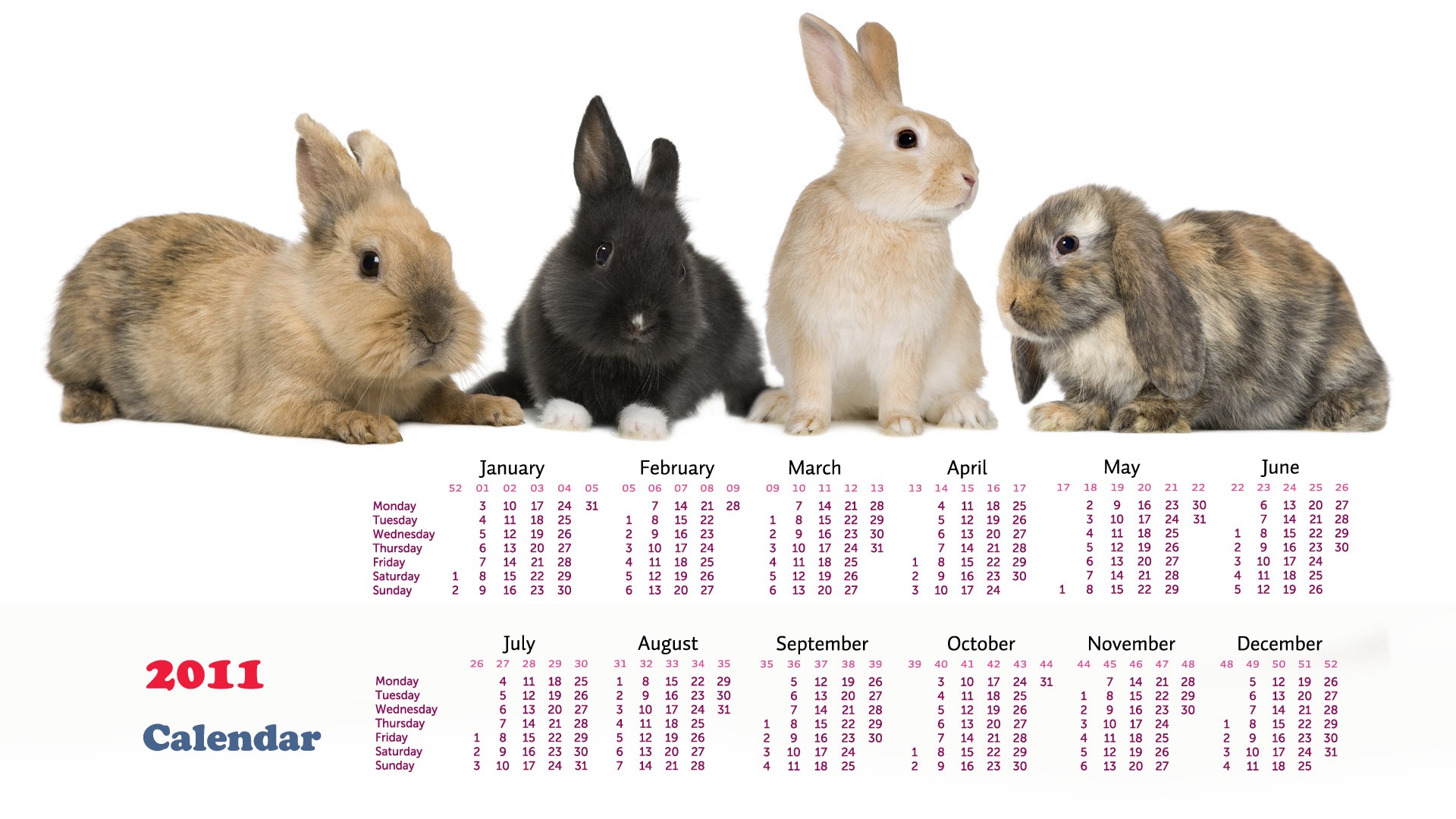 Year of the Rabbit 2011 calendar wallpaper (1) #16 - 1920x1080