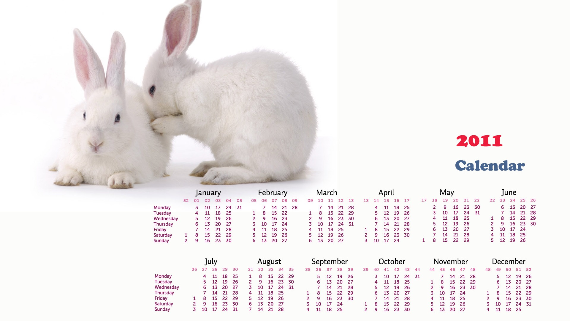 Year of the Rabbit 2011 calendar wallpaper (1) #17 - 1920x1080