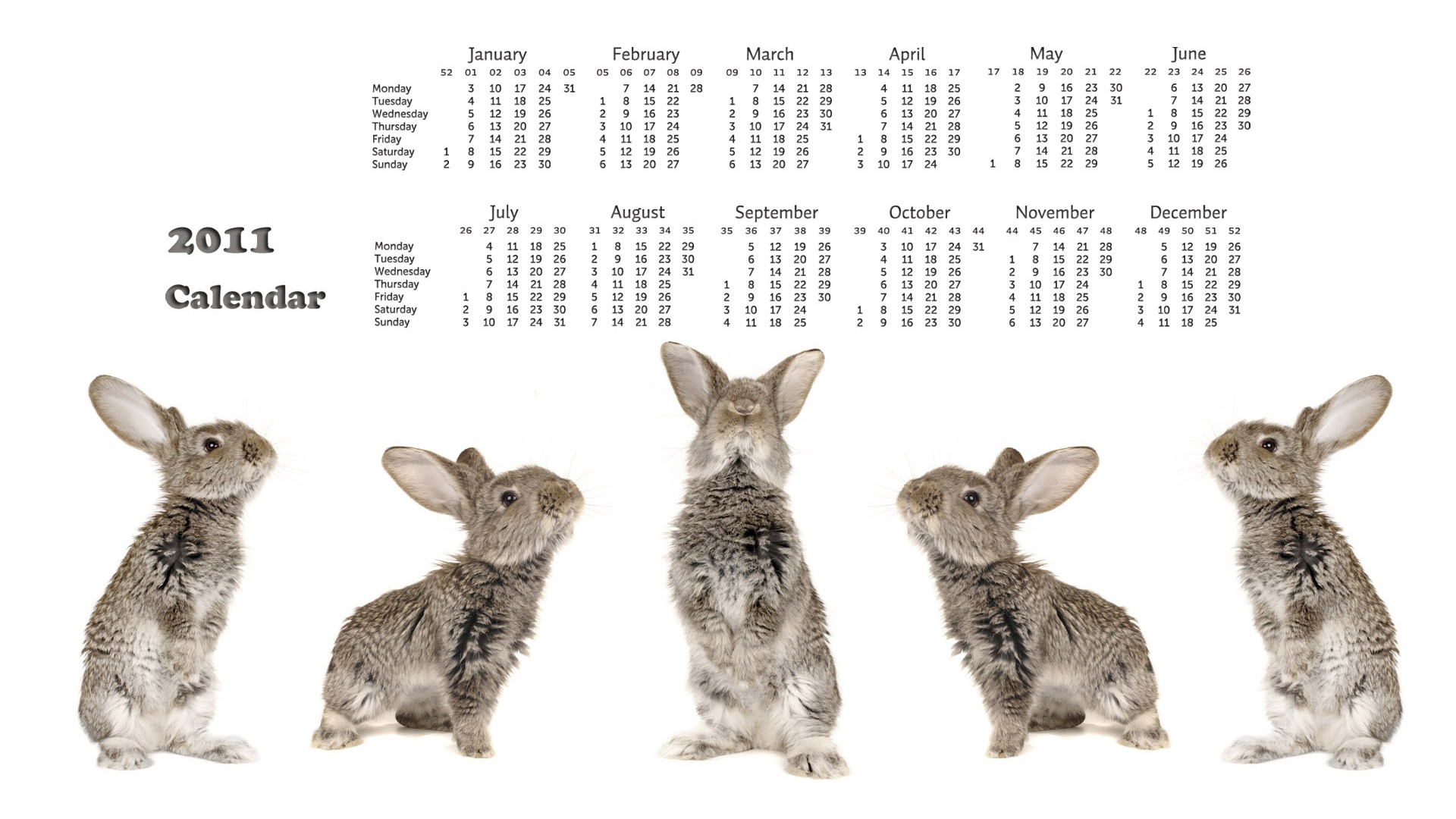 Year of the Rabbit 2011 calendar wallpaper (1) #18 - 1920x1080
