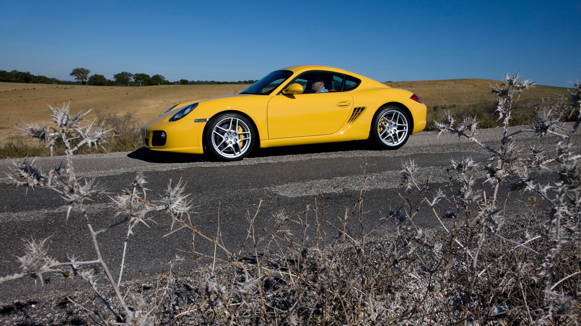 Porsche Cayman S - 2009 保時捷 #18 - 1920x1080