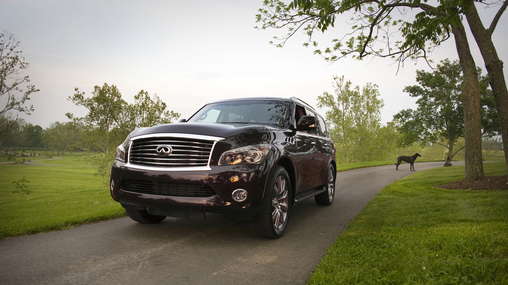 インフィニティqx56 2011のhdの壁紙 1 1920x1080 壁紙ダウンロード インフィニティqx56 2011のhdの壁紙 自動車 壁紙 V3の壁紙