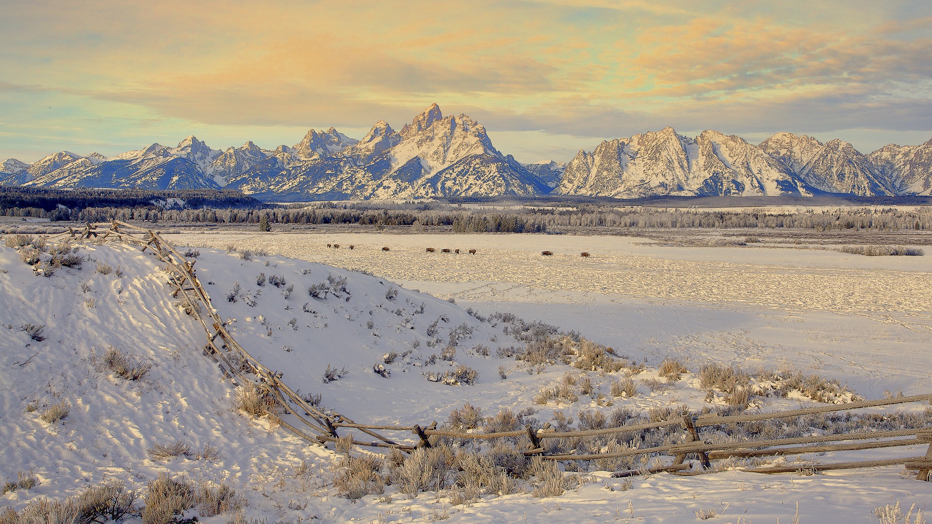 寬屏雪景 壁紙(三) #4 - 1920x1080