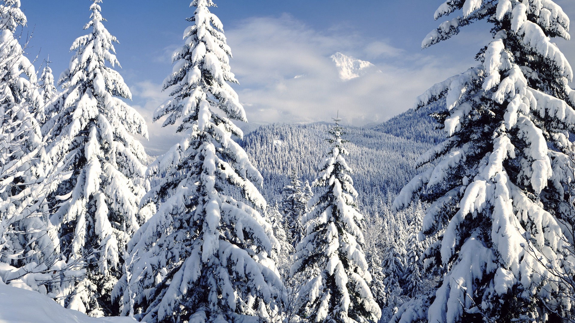 Fond d'écran panoramique de neige (4) #5 - 1920x1080