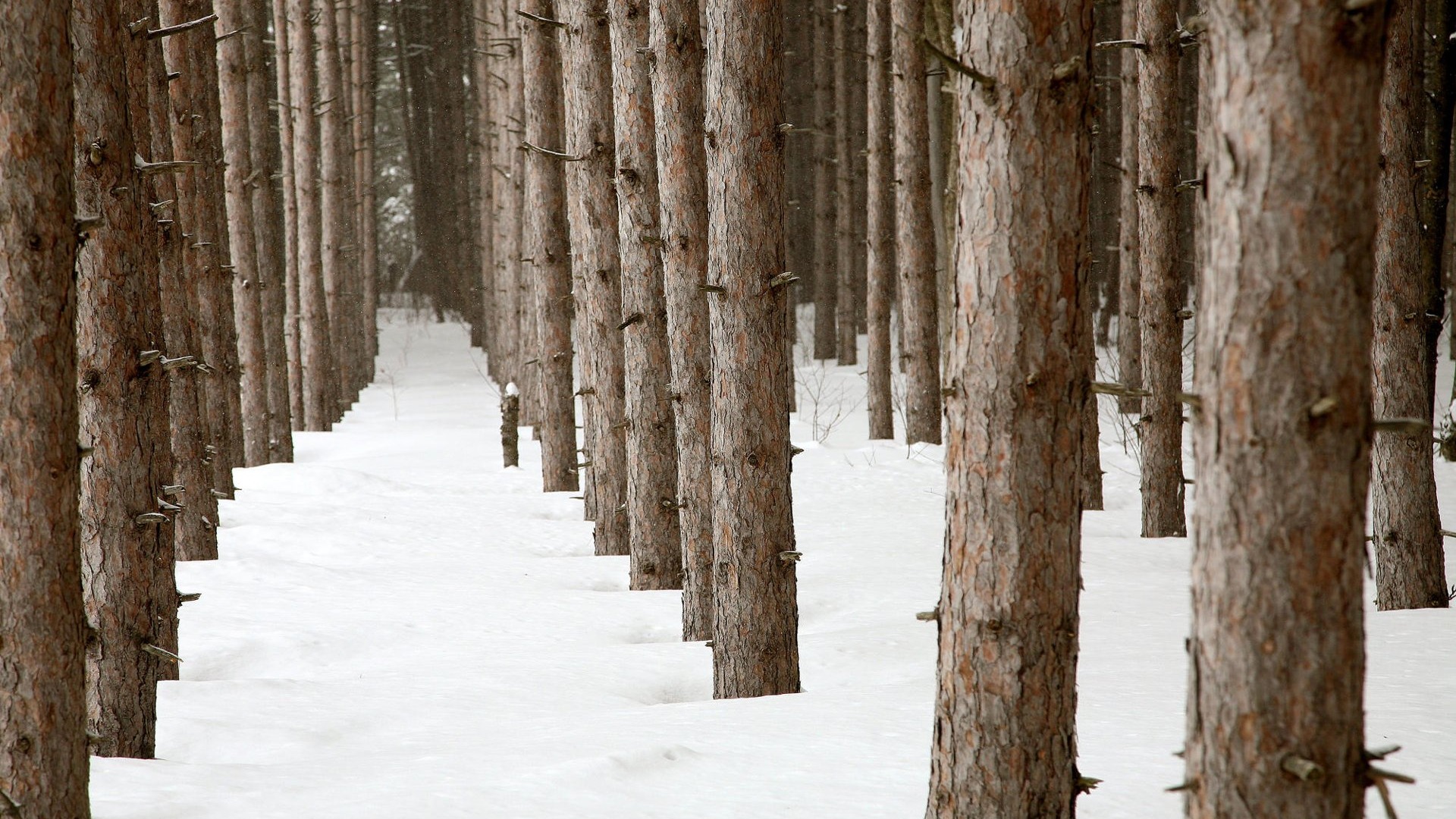 Tapety Krajina Kolekce (59) #18 - 1920x1080