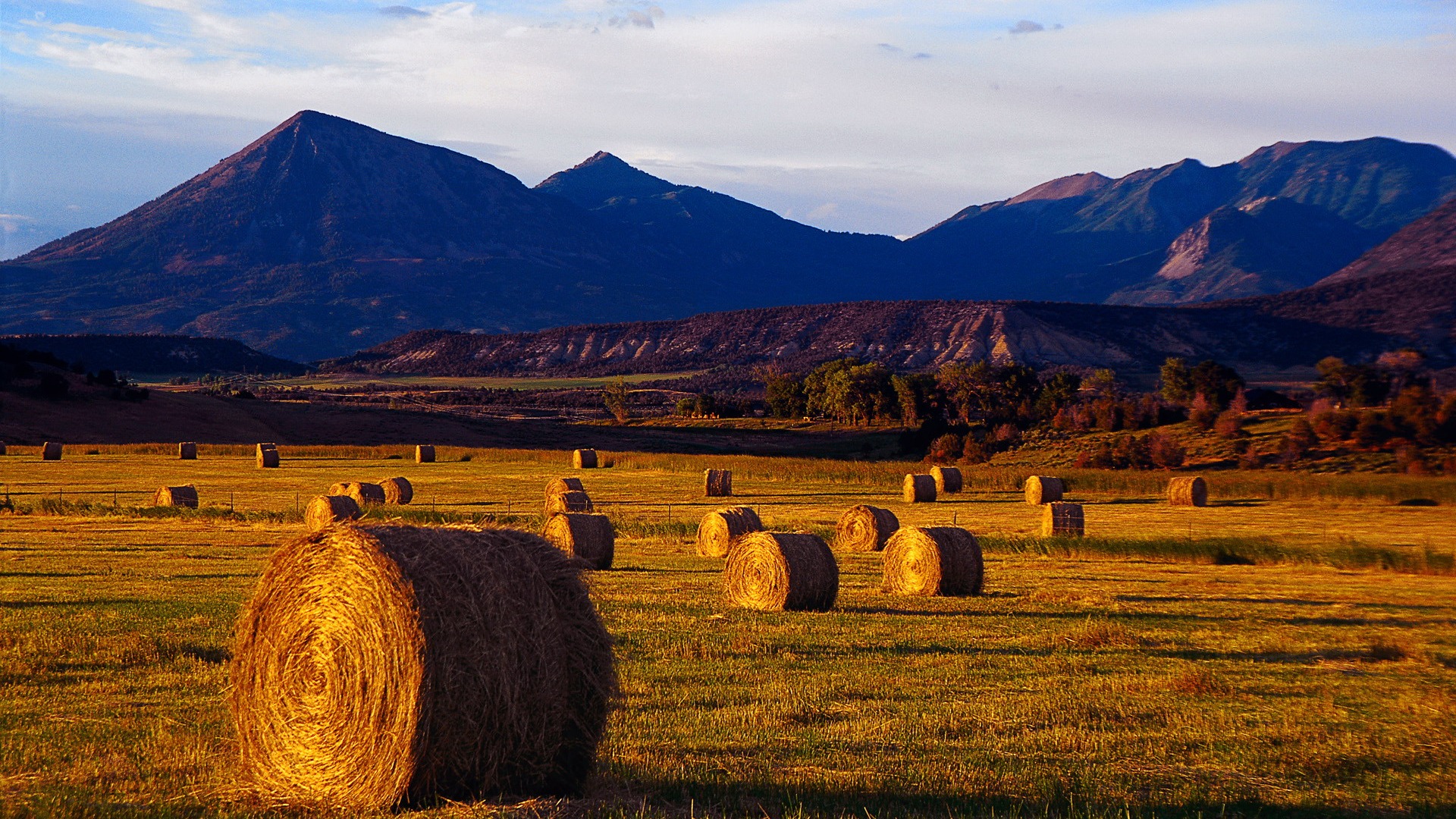 Autumn harvest wallpaper #5 - 1920x1080