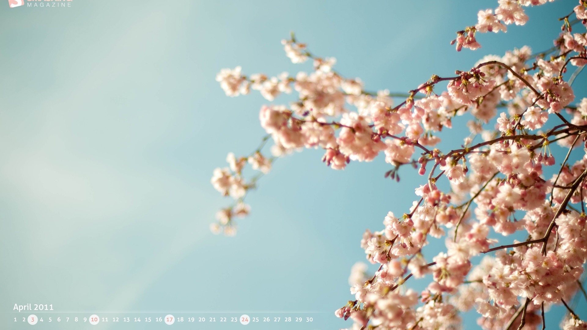 April 2011 Calendar Wallpaper (1) #19 - 1920x1080