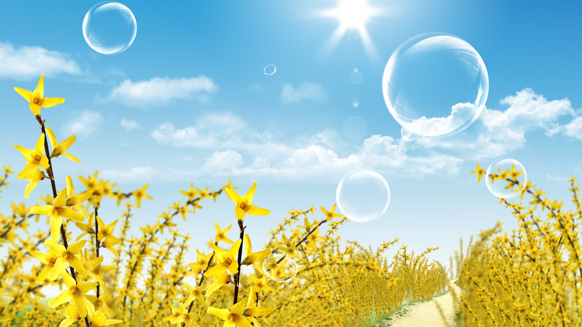 Photoshop sonnigen Sommertag Landschaft Wallpaper (1) #14 - 1920x1080