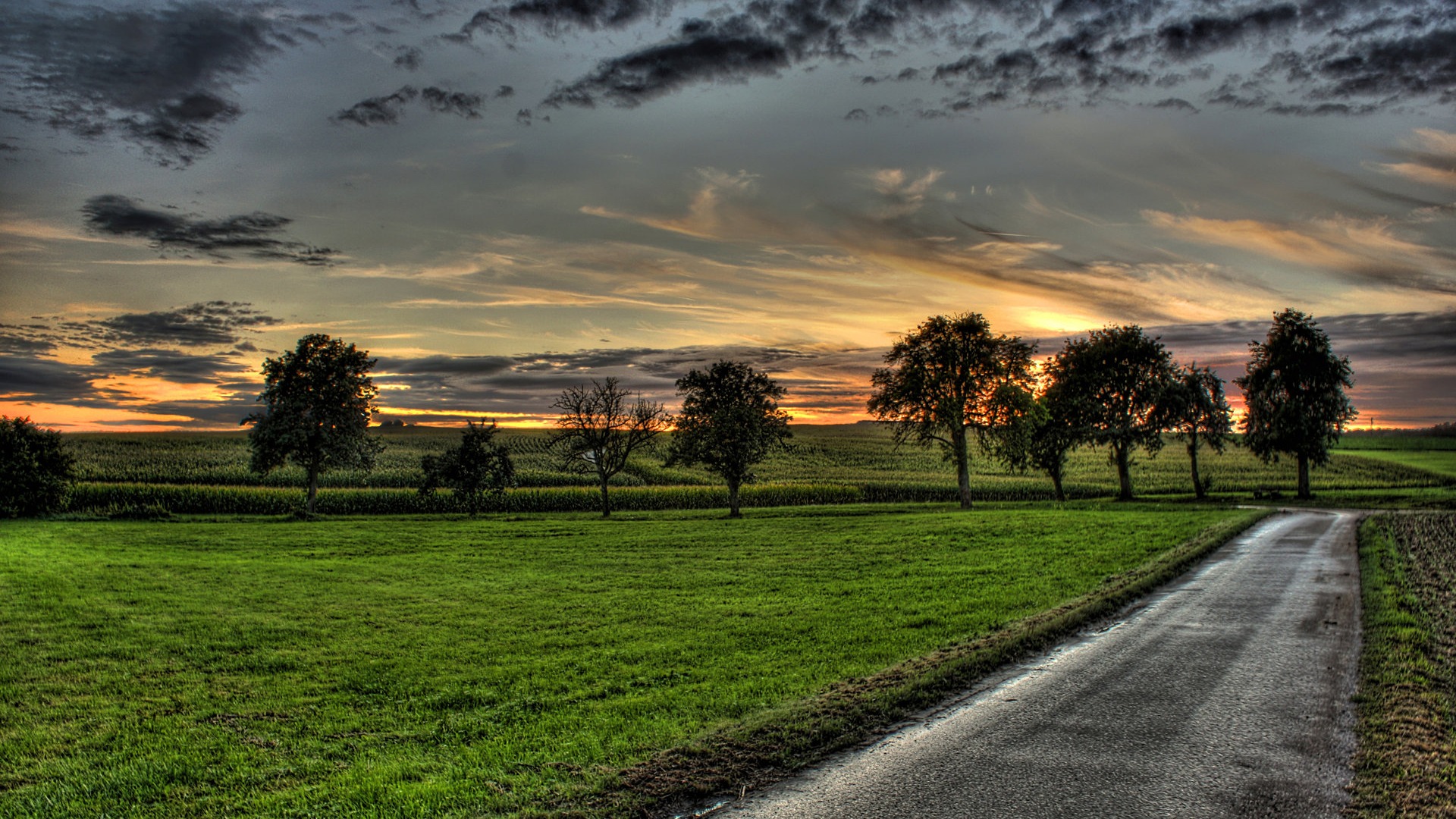 New Zealand Nature Wallpaper (1) #3 - 1920x1080