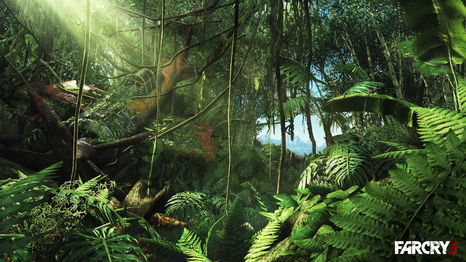 Far Cry 3 HD tapety na plochu #3 - 1920x1080