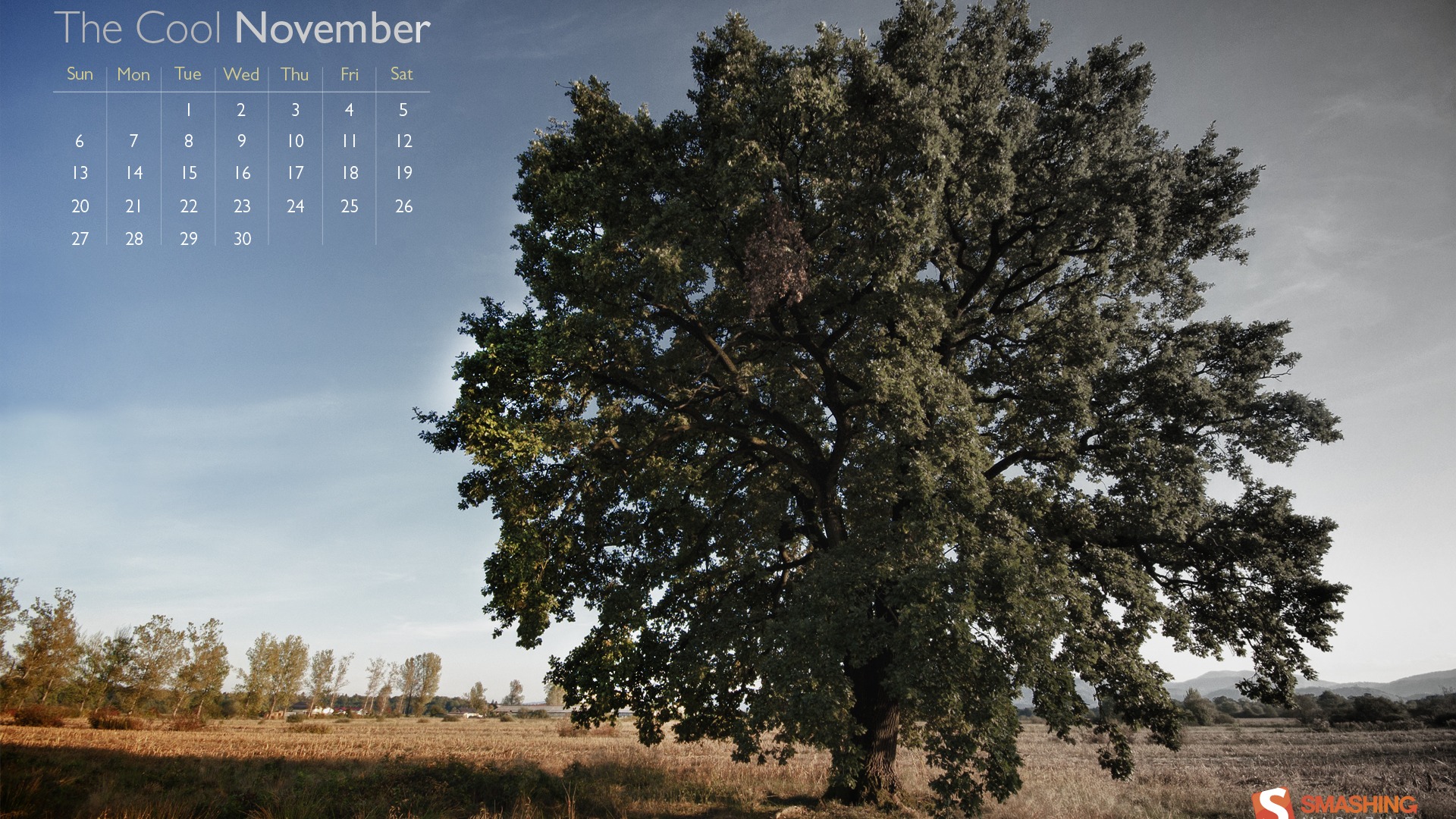 Novembre 2011 Calendar Wallpaper (1) #10 - 1920x1080