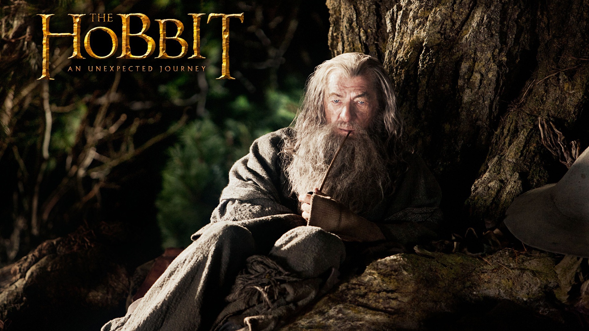 The Hobbit: An Unexpected Journey 霍比特人：意外旅程 #10 - 1920x1080